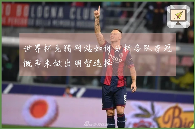 世界杯竞猜网站如何分析各队夺冠概率来做出明智选择