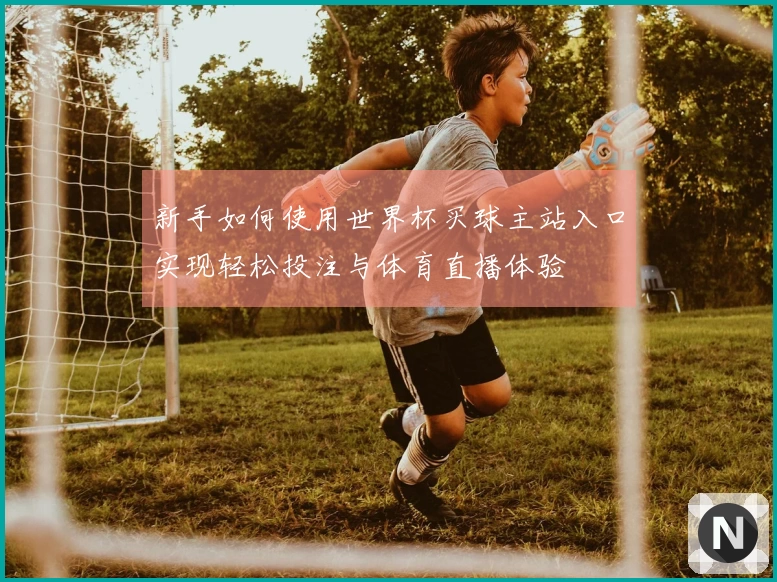 新手如何使用世界杯买球主站入口实现轻松投注与体育直播体验