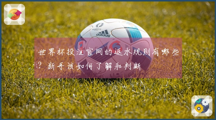 世界杯投注官网的返水规则有哪些？新手该如何了解和判断