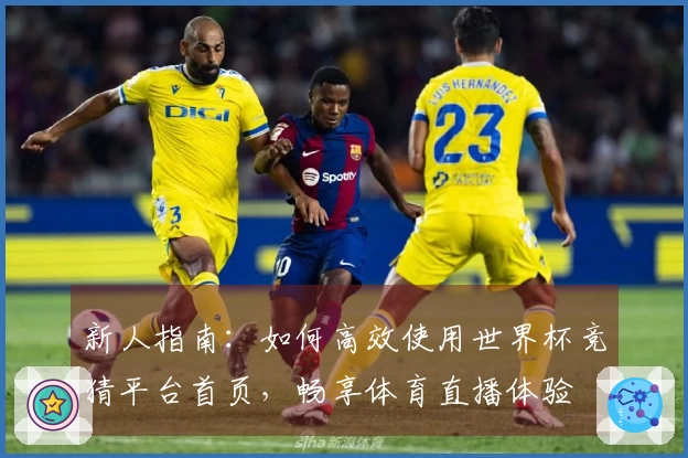 新人指南:如何高效使用世界杯竞猜平台首页,畅享体育直播体验