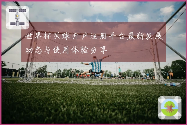 世界杯买球开户注册平台最新发展动态与使用体验分享