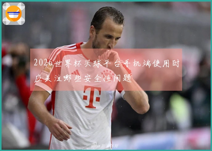 2026世界杯买球平台手机端使用时应关注哪些安全性问题
