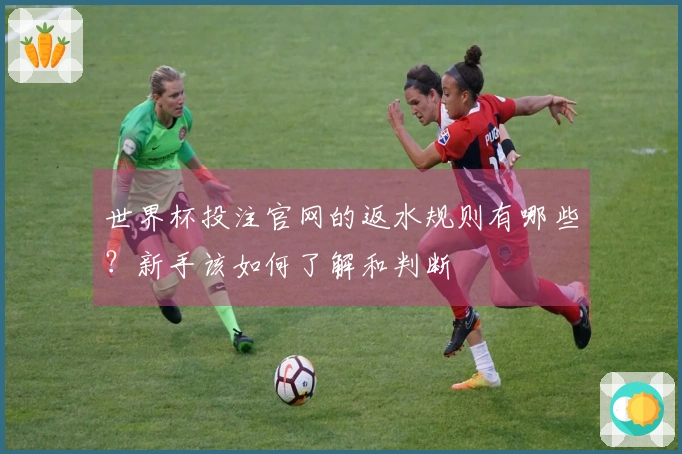 世界杯投注官网的返水规则有哪些？新手该如何了解和判断