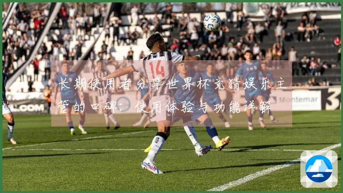 长期使用者分享世界杯竞猜娱乐主管的口碑：使用体验与功能详解