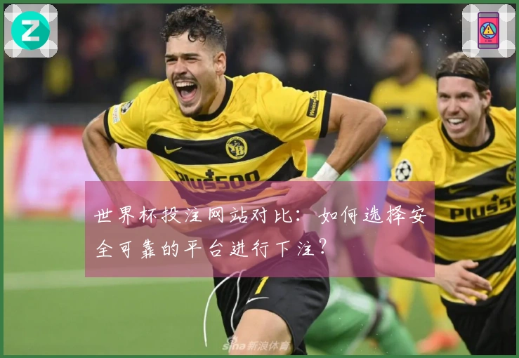 世界杯投注网站对比：如何选择安全可靠的平台进行下注？