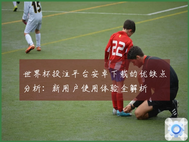 世界杯投注平台安卓下载的优缺点分析：新用户使用体验全解析