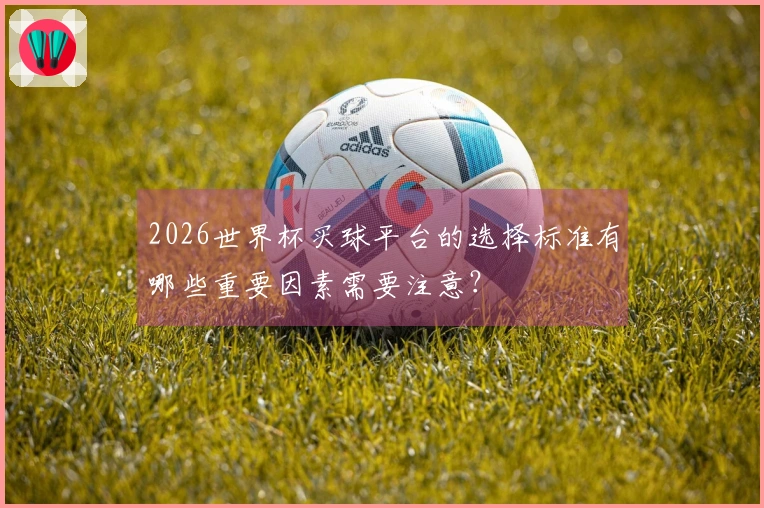2026世界杯买球平台的选择标准有哪些重要因素需要注意？
