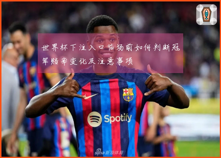 世界杯下注入口临场前如何判断冠军赔率变化及注意事项