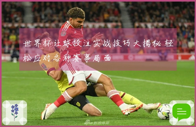 世界杯让球投注实战技巧大揭秘 轻松应对各种赛事局面