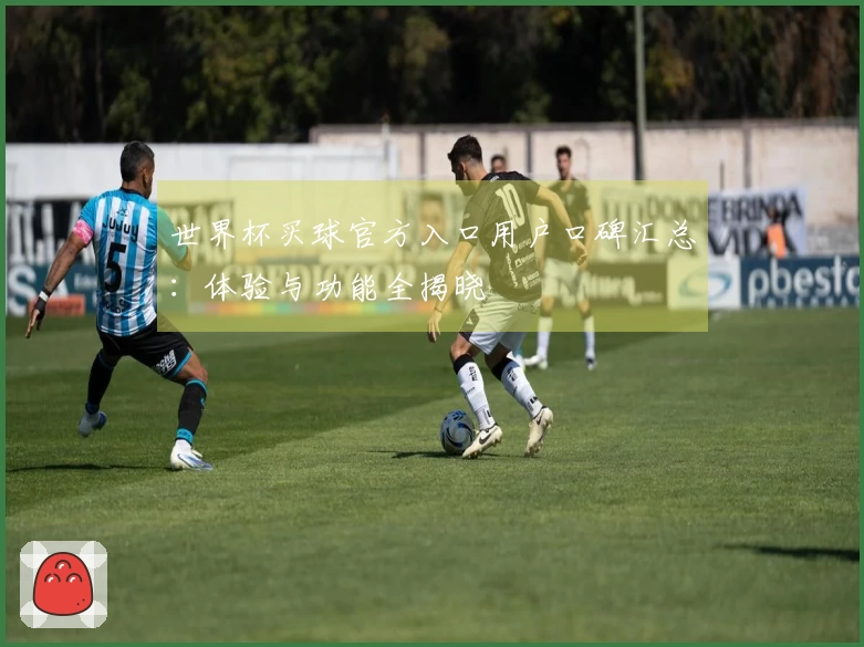 世界杯买球官方入口用户口碑汇总：体验与功能全揭晓