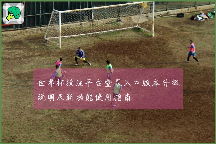 世界杯投注平台登录入口版本升级说明及新功能使用指南