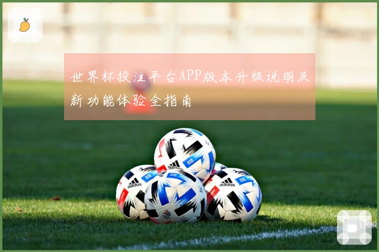 世界杯投注平台APP版本升级说明及新功能体验全指南