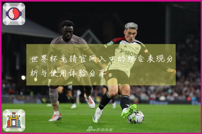 世界杯竞猜官网入口的综合表现分析与使用体验分享