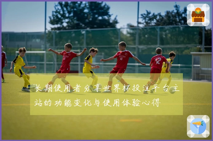 长期使用者分享世界杯投注平台主站的功能变化与使用体验心得