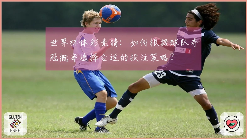 世界杯体彩竞猜：如何根据球队夺冠概率选择合适的投注策略？