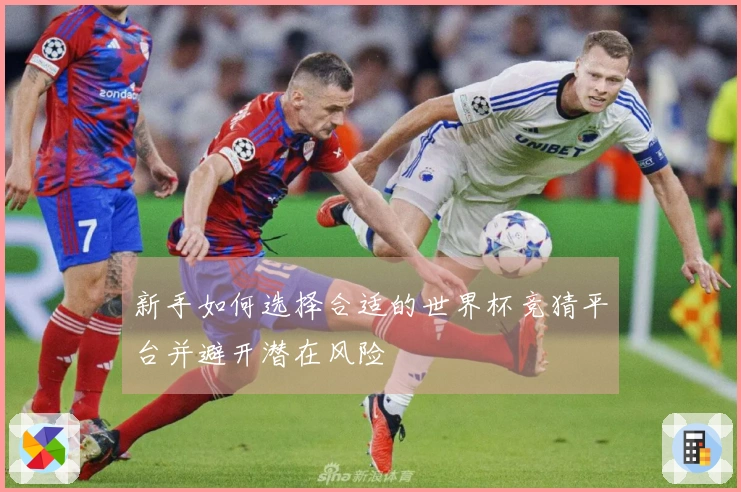 新手如何选择合适的世界杯竞猜平台并避开潜在风险
