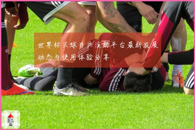 世界杯买球开户注册平台最新发展动态与使用体验分享